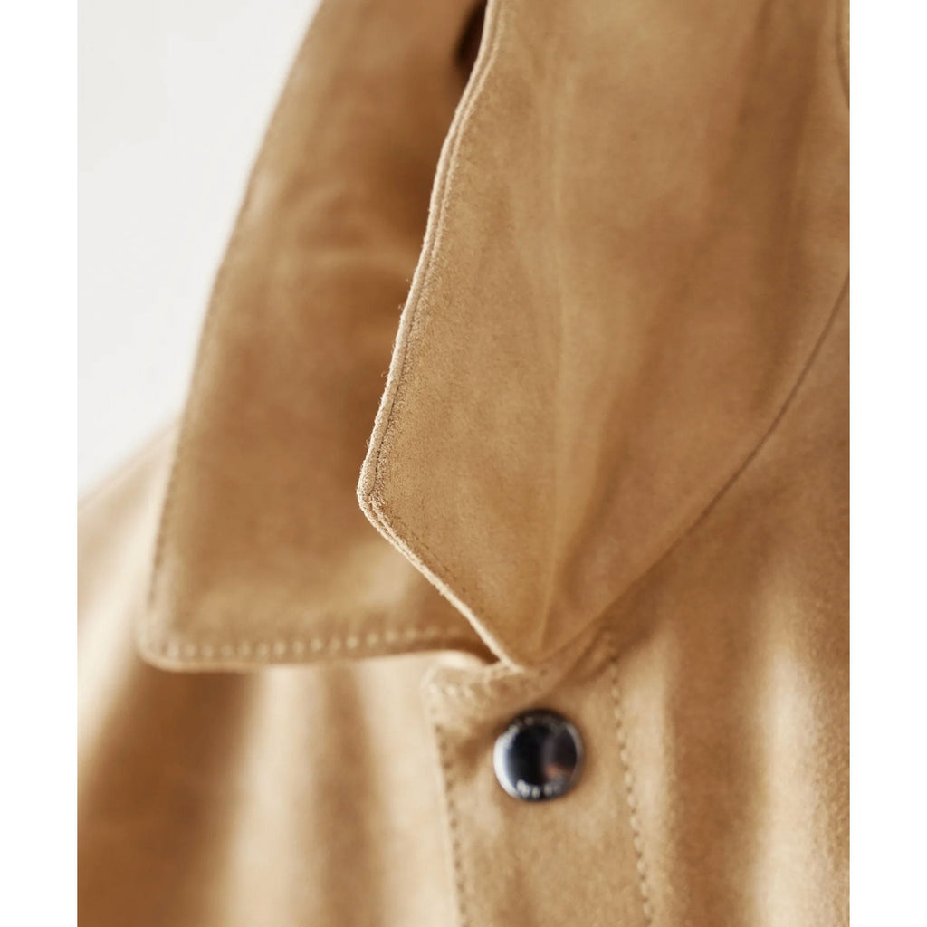 closeup picture of collar